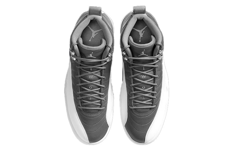 Air Jordan 12 Retro 'Stealth'