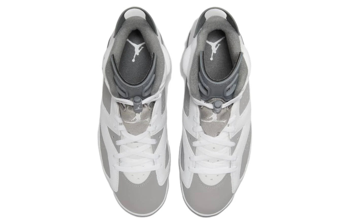 Air Jordan 6 Retro 'Cool Grey'