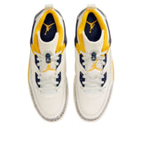 Air Jordan Spizike Low 'Michigan'